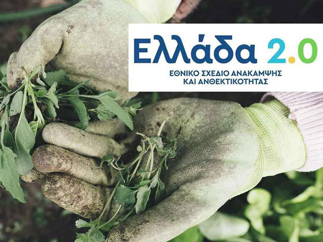 prasini-anakampsi-agrotes.2