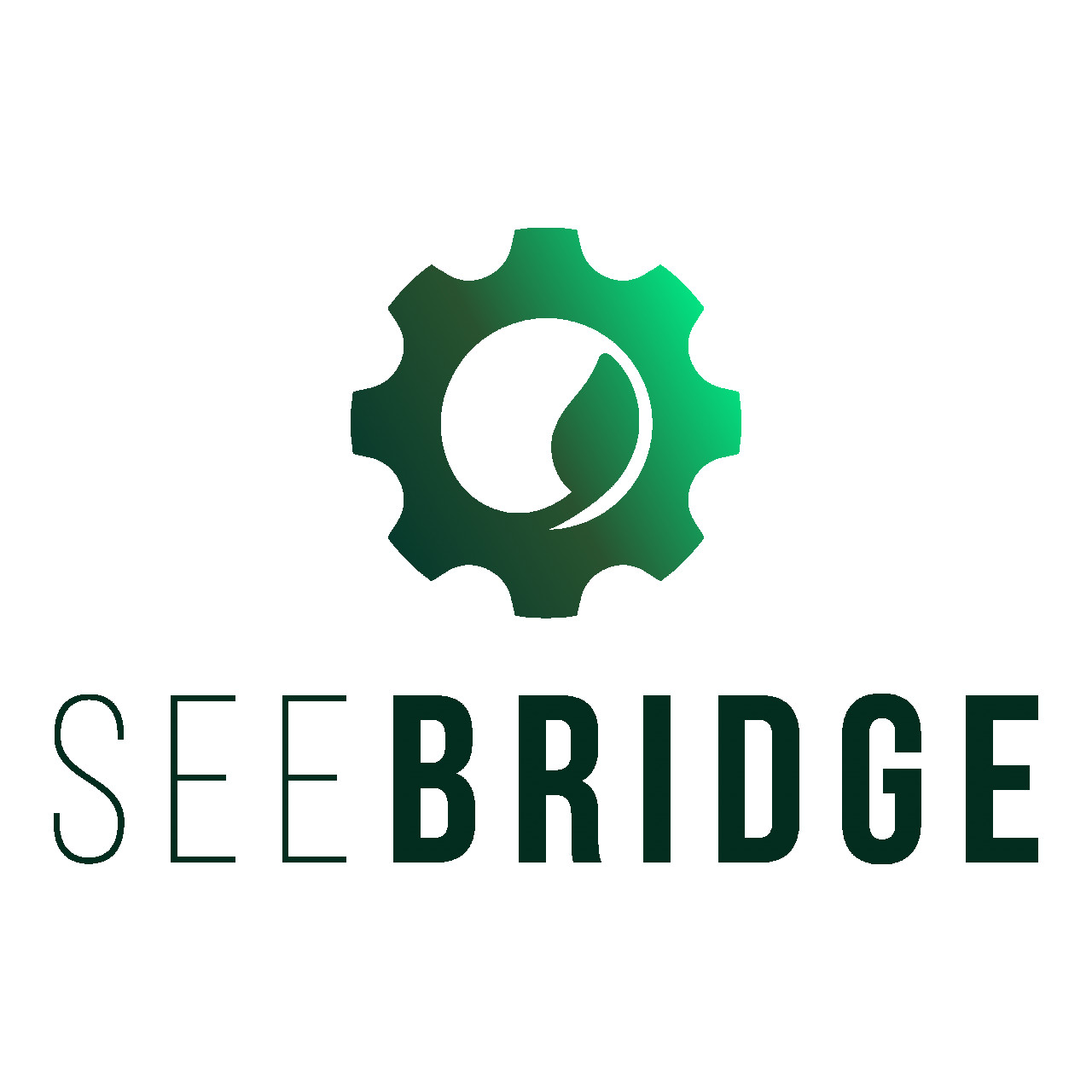SEE-BRIDGE-01